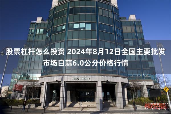 股票杠杆怎么投资 2024年8月12日全国主要批发市场白蒜6.0公分价格行情