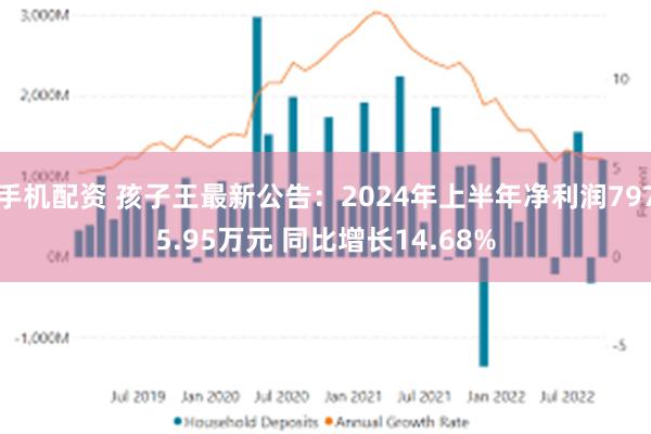 手机配资 孩子王最新公告：2024年上半年净利润7975.95万元 同比增长14.68%