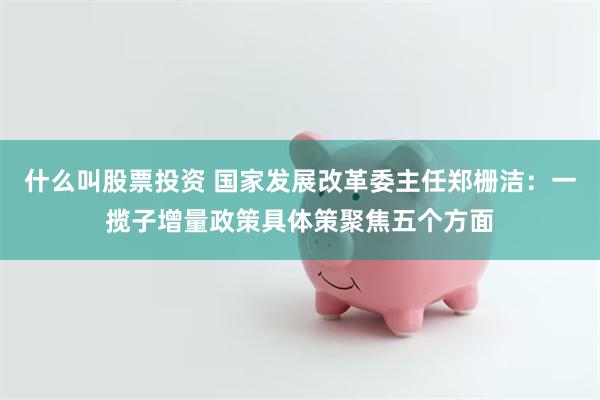 什么叫股票投资 国家发展改革委主任郑栅洁：一揽子增量政策具体策聚焦五个方面