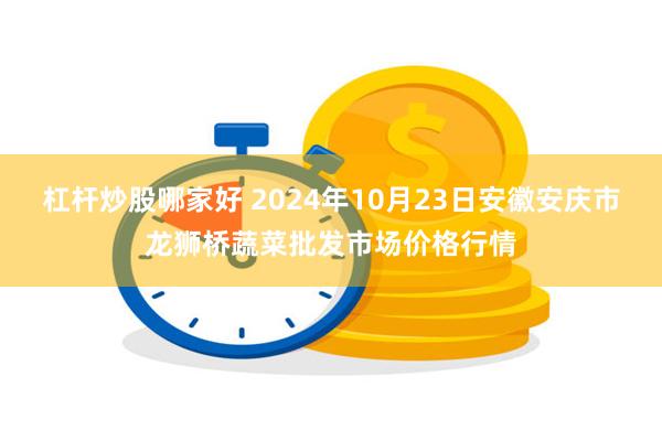 杠杆炒股哪家好 2024年10月23日安徽安庆市龙狮桥蔬菜批发市场价格行情