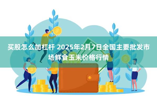 买股怎么加杠杆 2025年2月7日全国主要批发市场鲜食玉米价格行情