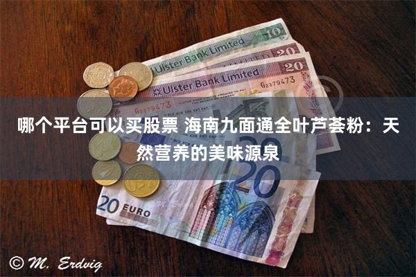 哪个平台可以买股票 海南九面通全叶芦荟粉：天然营养的美味源泉