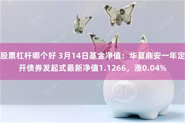 股票杠杆哪个好 3月14日基金净值：华夏鼎安一年定开债券发起式最新净值1.1266，涨0.04%